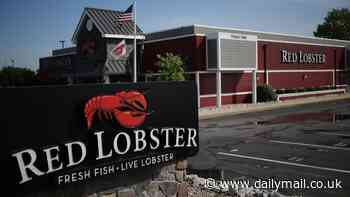 Red Lobster to file for bankruptcy next week after seafood chain announced dozens of restaurants to close