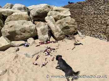 Litter left scattered at Hengistbury Head beach