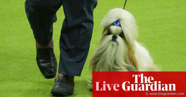 Westminster Dog Show live updates: America’s top canines vie for best in show
