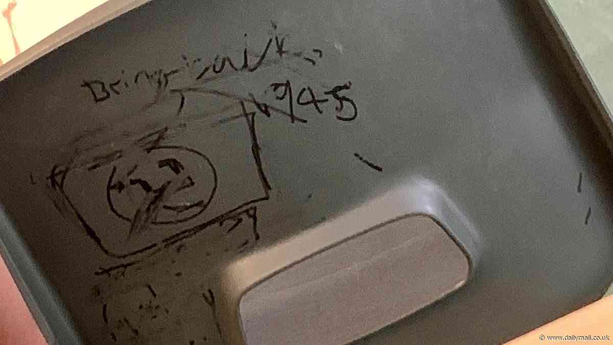 Police investigate school after swastika is found scrawled on back of pupil's chair as parents fear children are being brainwashed into anti-Semitism by pro-Palestinian activists