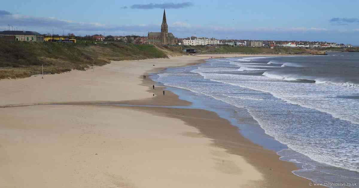 Blue Flag awards for North East beaches hailed 'an incredible achievement'