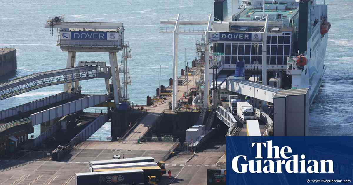 Brexit border IT outages delay import of perishable items to UK by up to 20 hours