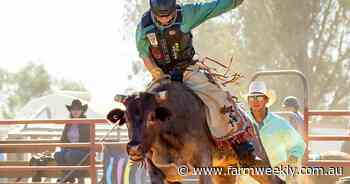 Trucks, utes to line up at annual rodeo