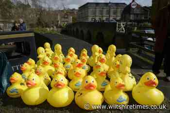 The Bradford on Avon duck race set to go ahead again