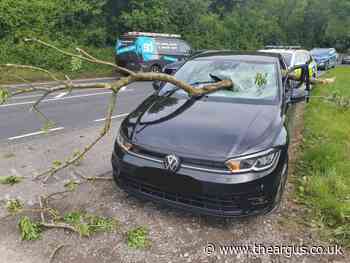 Lucky escape for A283  driver after branch smashes through windscreen