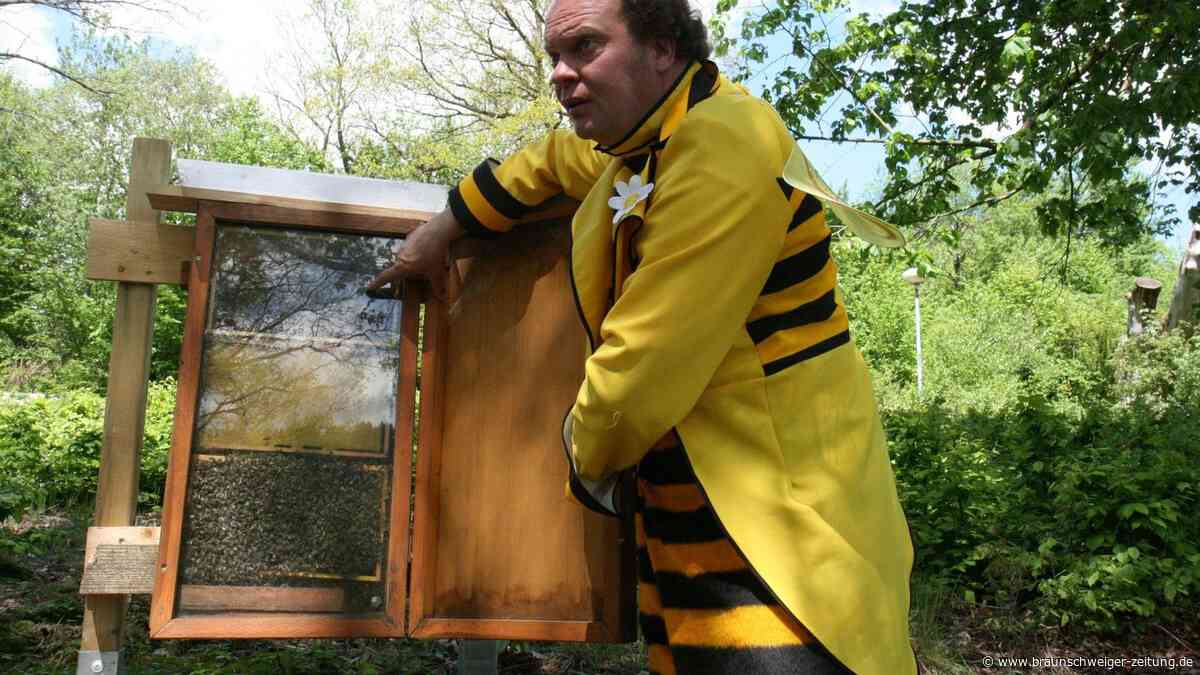 Früher Friedhof, heute Hotspot für Urlauber: der Bienenpfad im Harz