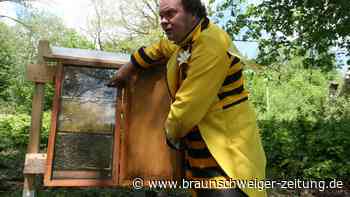 Früher Friedhof, heute Hotspot für Urlauber: der Bienenpfad im Harz