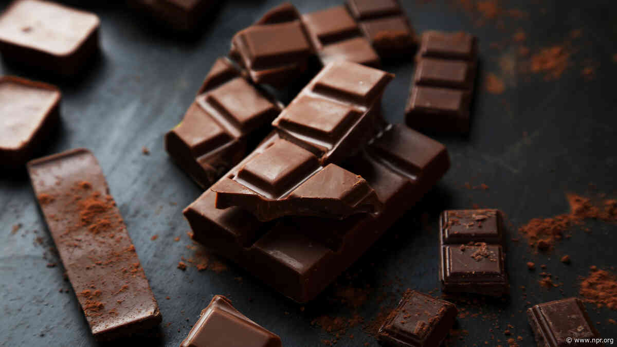 Why a changing climate might mean less chocolate in the future
