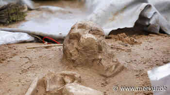 1500 Jahre älter als Ötzi: Archäologen finden Skelett eines Steinzeitmenschen in Bayern