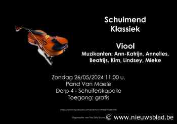Zevende editie Schuimend Klassiek staat in het teken van de viool