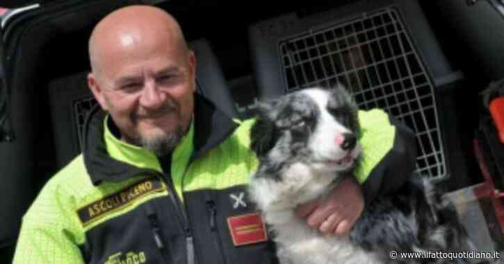 E’ morta Galassia, la cagnolina-eroe dei vigili del fuoco: dai terremoti a al Ponte Morandi, ha salvato 4 vite