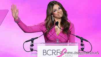Elizabeth Hurley, 58, stuns in a dazzling pink gown at 2024 Breast Cancer Research Foundation as proud ambassador pays heartfelt tribute to late founder Evelyn - as charity raises an incredible $11million
