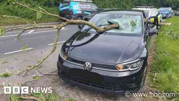 Driver's lucky escape as branch goes through car