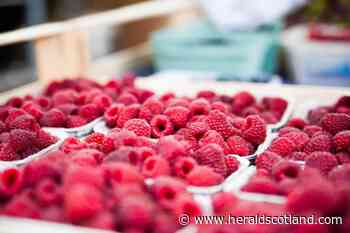 Monthly farmers' markets in Scotland from Glasgow to Inverness