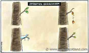 Our cartoonist Steven Camley’s take on Operation Branchform