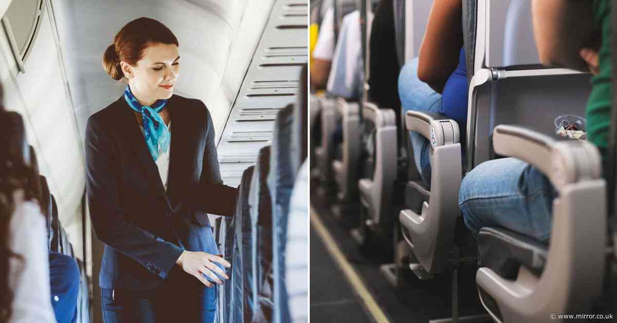 Flight attendant reveals 'hidden' button that guarantees extra space on all flights