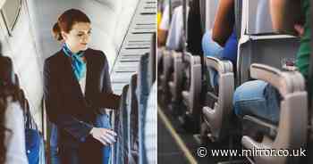 Flight attendant reveals 'hidden' button that guarantees extra space on all flights