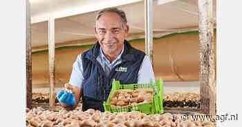 "Mei is een sterke verkoopmaand voor Zwitserse champignons"