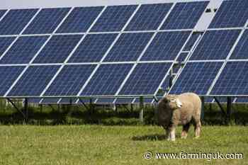Solar panels must not be built on productive farmland, ministers say