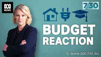 Laura Tingle looks at the response to the federal budget