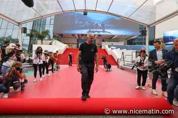 77e Festival de Cannes: pourquoi le tapis rouge... n'est pas complètement rouge?