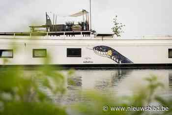 Nu ook Animalinas-kunstwerk op het water: ringslang siert romp van woonboot op Leuvense Vaart