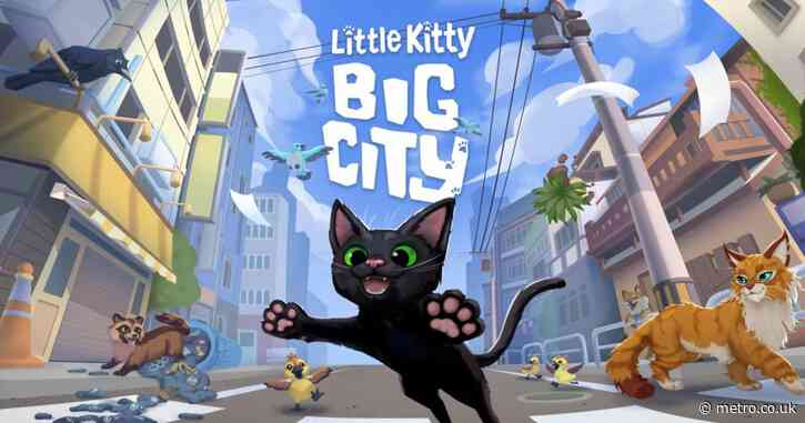 Little Kitty, Big City review – the cat’s meow