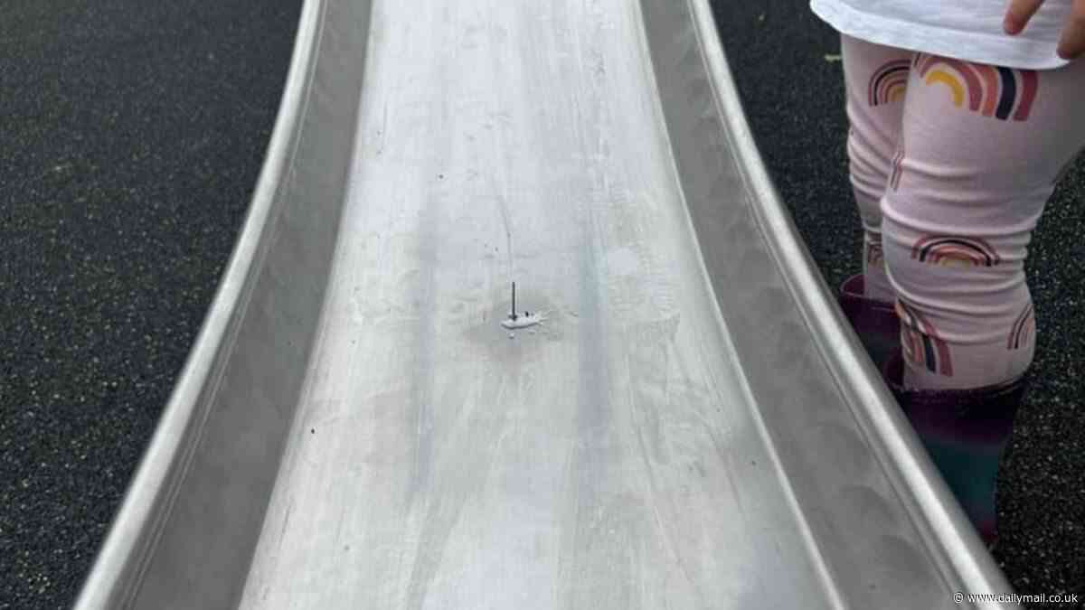 Horrified parents discover NAILS glued to toddler swings and a slide at children's playground: Police launch probe as they hunt vandal with families warned to be 'vigilant'