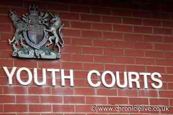 Teen who committed outraging public decency during incident with horse in Northumberland field sentenced