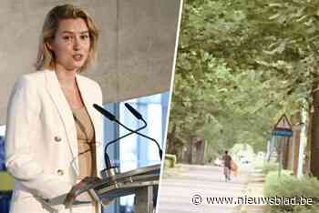 ‘Eenzame fietser’ neemt campagnebord van N-VA-politica Els Van Doesburg mee in Bonheiden