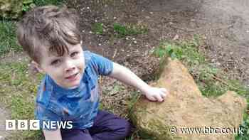 Boy and grandad make dinosaur discovery at park