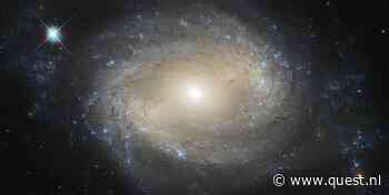 Quasars zijn de meest heldere objecten aan de hemel - maar wat zijn het?