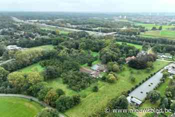 Zilveren boslabel voor stad Antwerpen dankzij 7,5 hectare nieuw bos op grondgebied