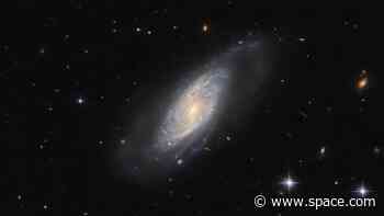 Supernova-filled galaxy dazzles in new Hubble Telescope image