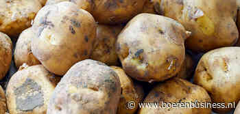 Import biologische aardappelen blijft achter