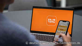 Digital Services Act (DSA): Shein und Temu im Visier der deutschen Behörden
