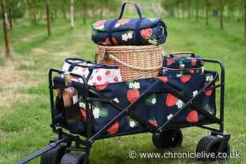 Dunelm offering 'adorable' new vintage-inspired picnic collection for family days out