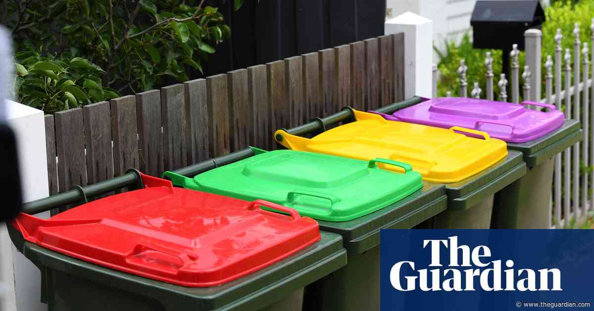 Snakes, donkey heads, a dead cow: the odd things found in recycling – and how they should be disposed of