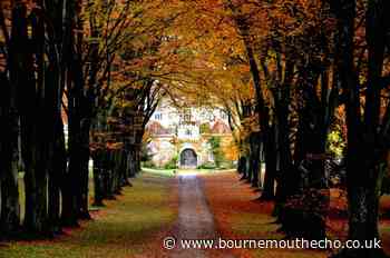 Cranborne named among 30 best British villages for 2024