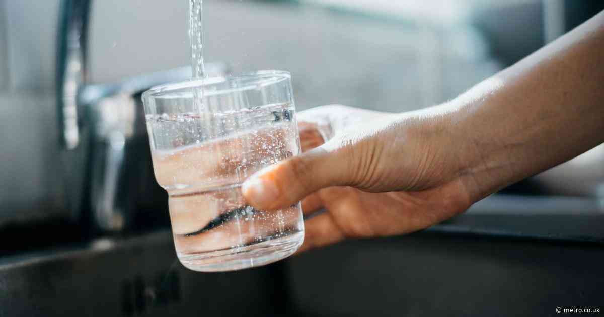 Parasites found in tap water as hundreds of people feared ill