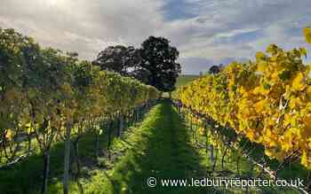 Bredon Wine Fayre in Worcestershire for English wine week