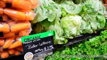 Another New Record in Sales for Organic Food Industry