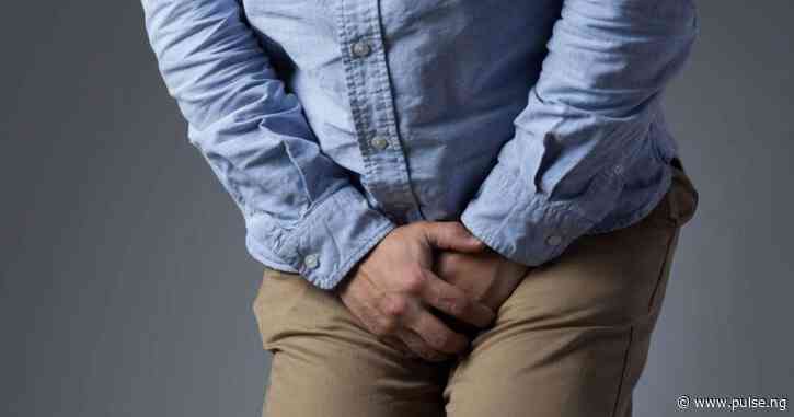 Dangers of holding your pee for way too long
