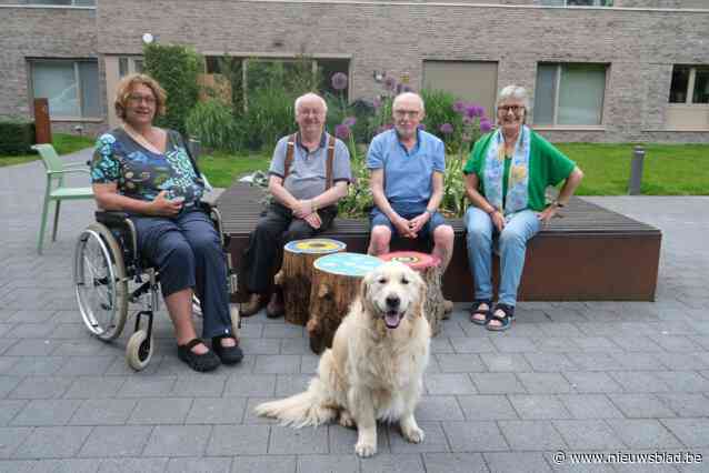 Bewoners Park Oase organiseren Kunst in het Park: “In ieder werk zit een verhaal van bewoners waarin ze hun gevoelens de vrije loop laten”