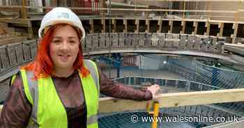A hidden staircase, a collapsing roof and other surprises and challenges as Swansea's Palace Theatre comes back to life