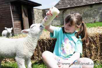 Pictures: Spring fair at Witney's Cogges heritage farm