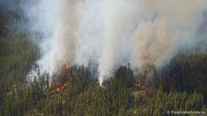 The latest news on wildfires in Canada as thousands forced from homes in the West