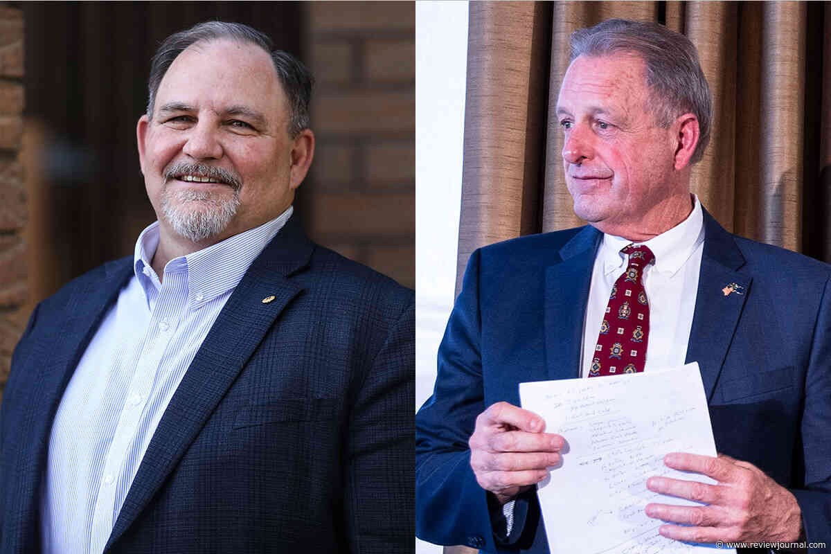 Who’s who in the Nevada 4th Congressional District race?