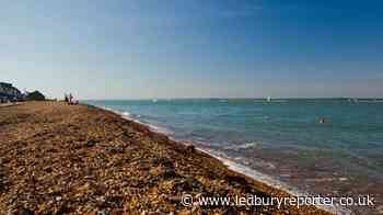 More than 440,000 hours of sewage released into English seas