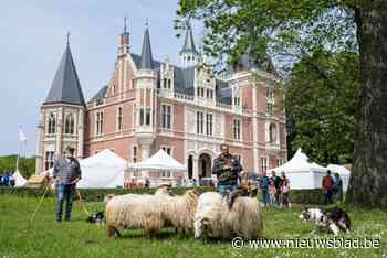 Kasteeldomein d’Aertrycke decor voor 31ste editie Hof&Huis